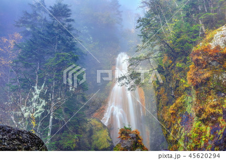 霧に煙る秋の三本滝 霧に煙る秋の三本滝 45620294