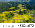 新潟　棚田 45621672