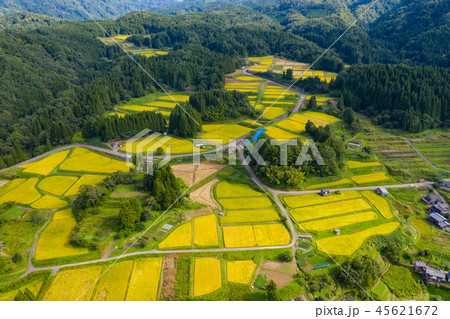 新潟 棚田 新潟 棚田 45621672