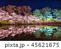 上越　高田公園 45621675