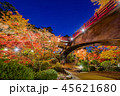 新潟　弥彦紅葉公園 45621680