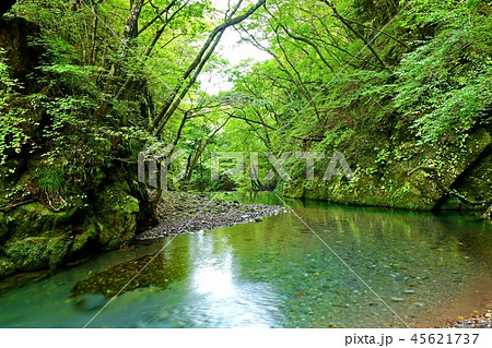 尚仁沢ブルーの情景@栃木 尚仁沢ブルーの情景@栃木 45621737