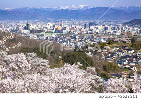 花見山公園 45623511