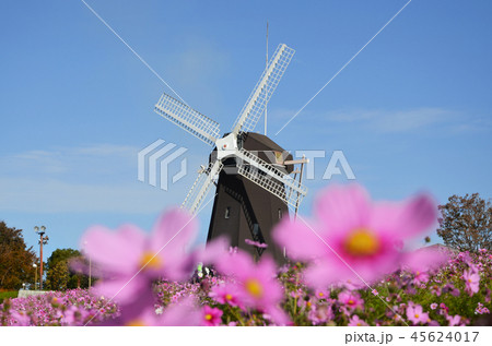風車の丘 風車の丘 45624017