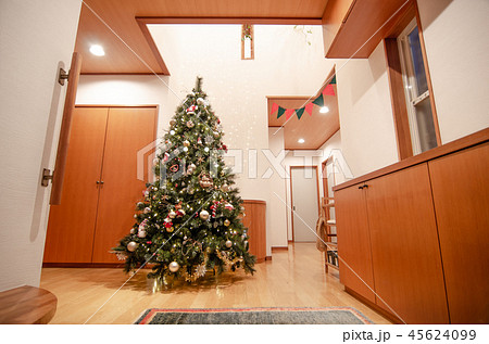 クリスマスツリーのある玄関の写真素材