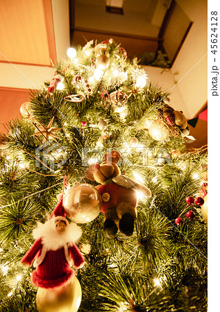 クリスマスツリーをライトアップしました 45624128