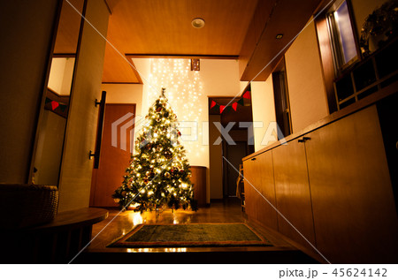 広い玄関に大きなクリスマスツリーの写真素材
