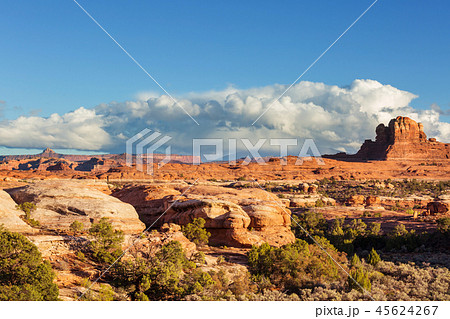 Canyonlands Canyonlands 45624267