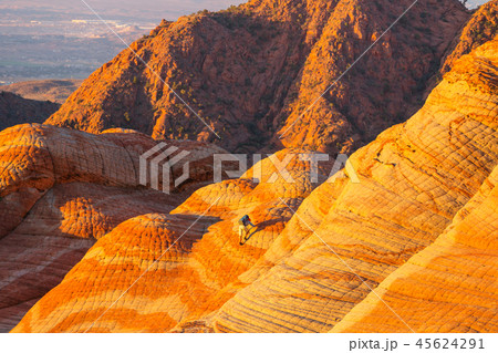 Hike in Utah Hike in Utah 45624291