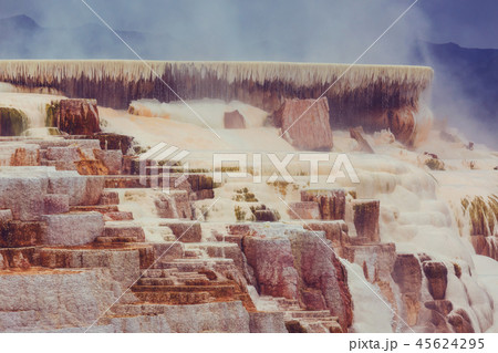 Mammoth Hot Springs 45624295
