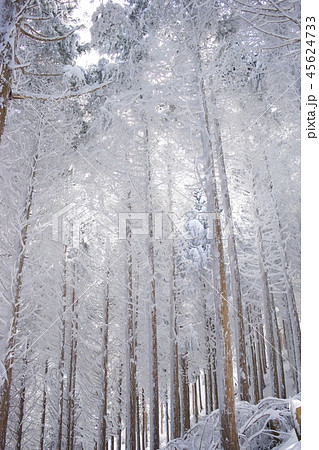 冬の三峰山 45624733