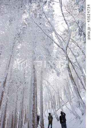 冬の三峰山 冬の三峰山 45624734