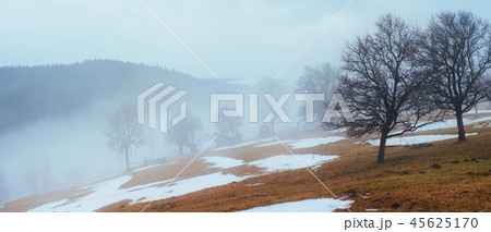 the last days of winter in the mountains of Ukraine, thick fog. Carpathians. 45625170