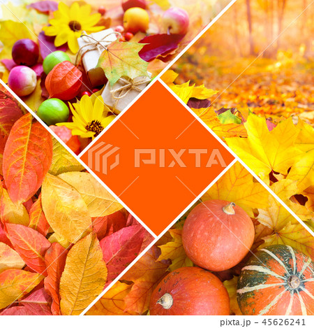 Autumn creative collage of photos. Autumn creative collage of photos. 45626241