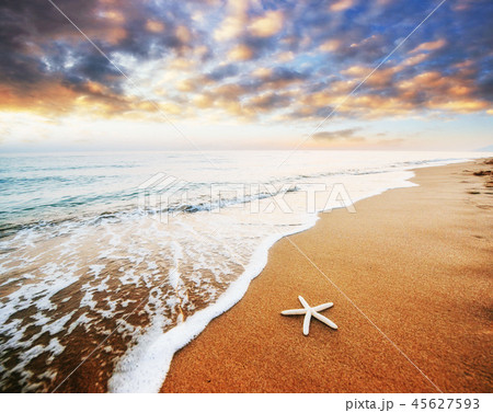 Starfish on the beach. Romantic composition 45627593