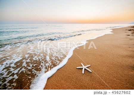 Starfish on the beach. Romantic composition 45627602