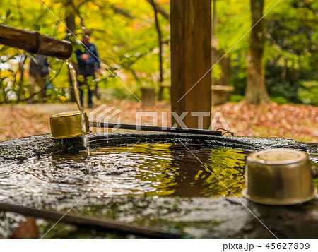 紅葉の石龕寺(せきがんじ) 紅葉の石龕寺(せきがんじ) 45627809