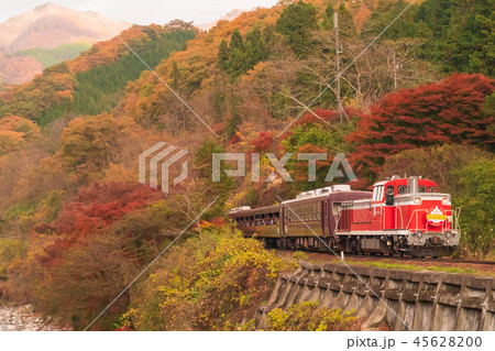 わたらせ渓谷鉄道・トロッコ列車と紅葉 45628200
