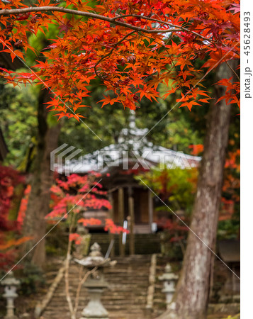 紅葉の白毫寺 45628493