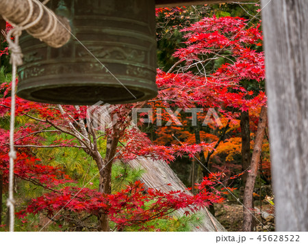 紅葉の白毫寺 紅葉の白毫寺 45628522