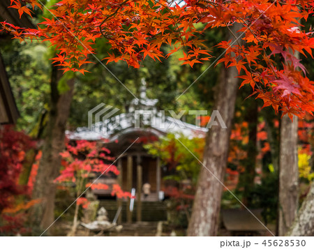 紅葉の白毫寺 45628530