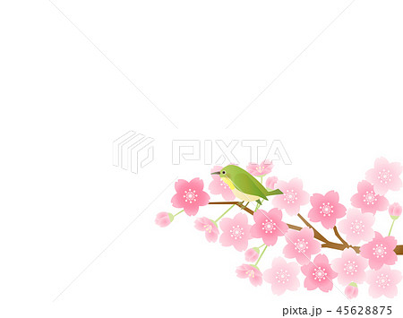 さくら 桜と鳥のイラスト素材