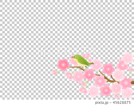 さくら20　桜と鳥 45628875