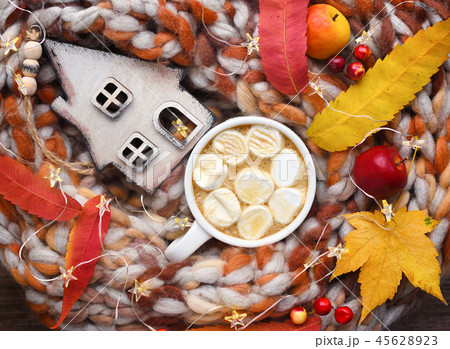 Cup of cocoa with marshmallows 45628923