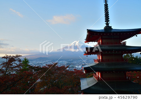 新倉山浅間公園 富士山 新倉山浅間公園 富士山 45629790