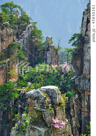 Zhangjiajie mountains, China Zhangjiajie mountains, China 45630381