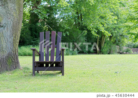 Wooden chair for relaxing on the green lawn 45630444