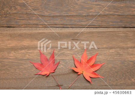 木目と紅葉 45630663