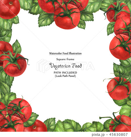 Watercolor Vegan Frame By Basil And Tomato Stock Illustration