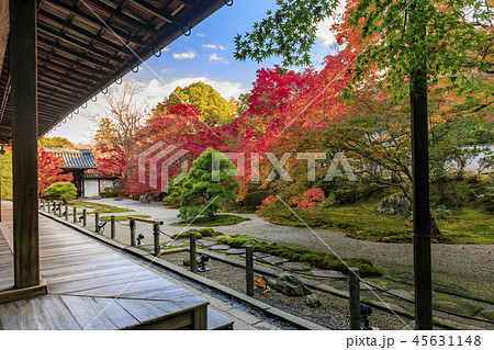 天授庵　紅葉 45631148