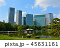 浜離宮恩賜公園 45631161