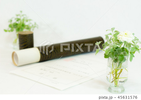 卒業イメージ　賞状筒とグリーン　ヘリクサム・ペティオラレ 45631576