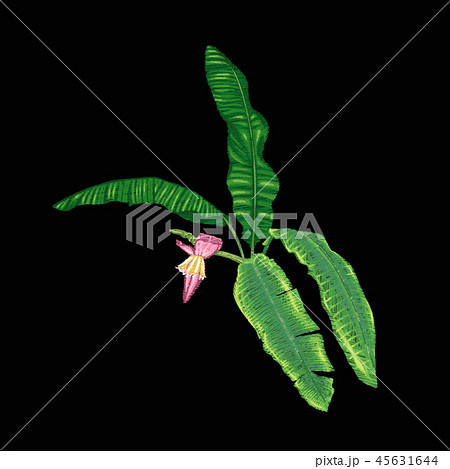 Set of elements for design with tropical plants Set of elements for design with tropical plants 45631644
