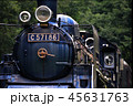 小金井公園のC57 45631763
