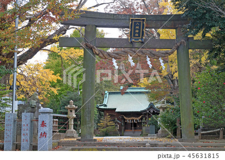 八坂神社(市原市椎津) 八坂神社(市原市椎津) 45631815