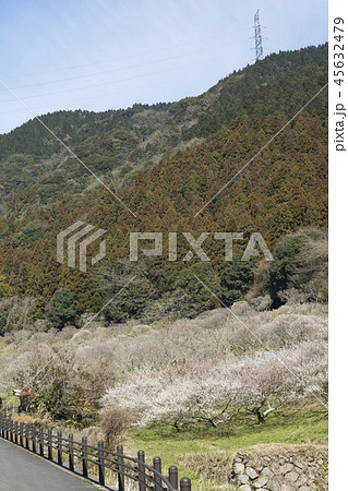 福岡 福岡 45632479