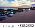 Dog track on sand by rocky shore at great sunset 45632552