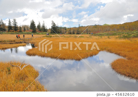 ニセコ 神仙沼 秋 ニセコ 神仙沼 秋 45632610