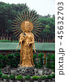 仏教寺院 仏閣 伽藍 45632703