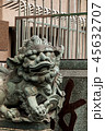 こま犬 寺 寺院 45632707