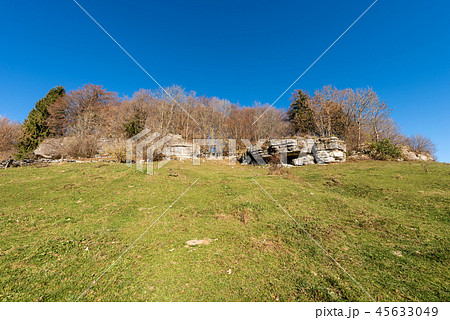 Karst Rock Formations and Forest in Lessinia Italy Karst Rock Formations and Forest in Lessinia Italy 45633049