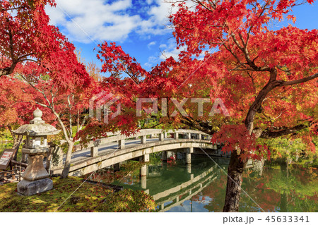 永観堂の紅葉 永観堂の紅葉 45633341