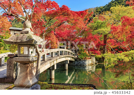 永観堂の紅葉 45633342