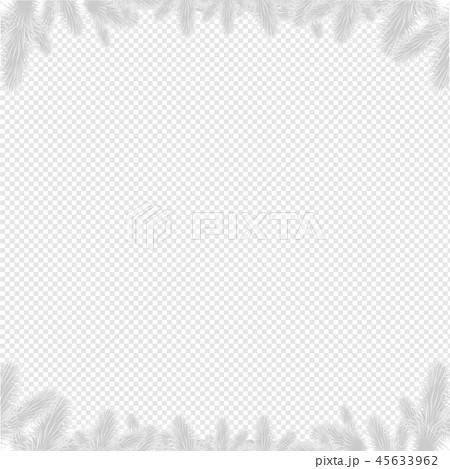 Firtree Border Isolated 45633962
