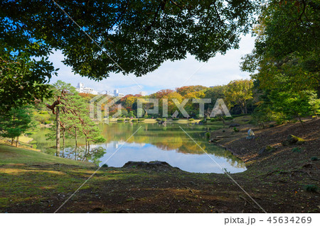 六義園の紅葉と青空 45634269