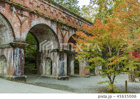 南禅寺　紅葉 45635006